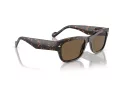 Vogue Sonnenbrille 5530S W65673