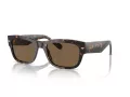 Vogue Sonnenbrille 5530S W65673