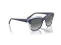 Vogue Sonnenbrille VO 5557S 313711