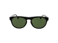 Web Sonnenbrille WE 0349 52N