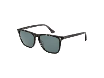 Web Sonnenbrille WE 0363 20V