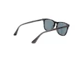 Web Sonnenbrille WE 0363 20V