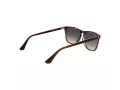 Web Sonnenbrille WE 0363 56B