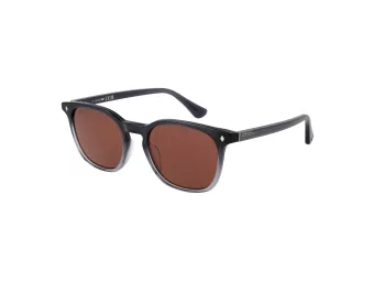Web Sonnenbrille WE 0364 20S