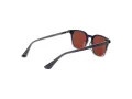 Web Sonnenbrille WE 0364 20S