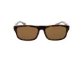 Web Sonnenbrille WE 0371 56J