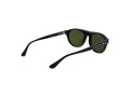 Web Sonnenbrille WE 0377 52N