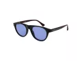 Web Sonnenbrille WE 0377 92V