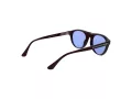 Web Sonnenbrille WE 0377 92V